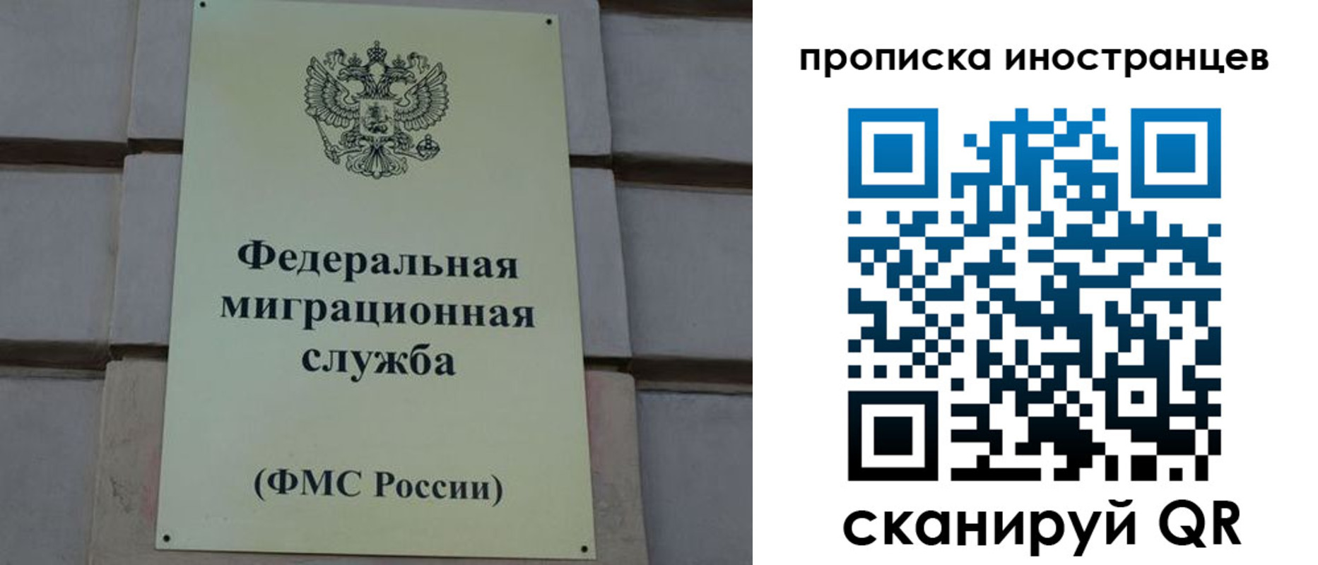 прописка в квартире в Чкаловске